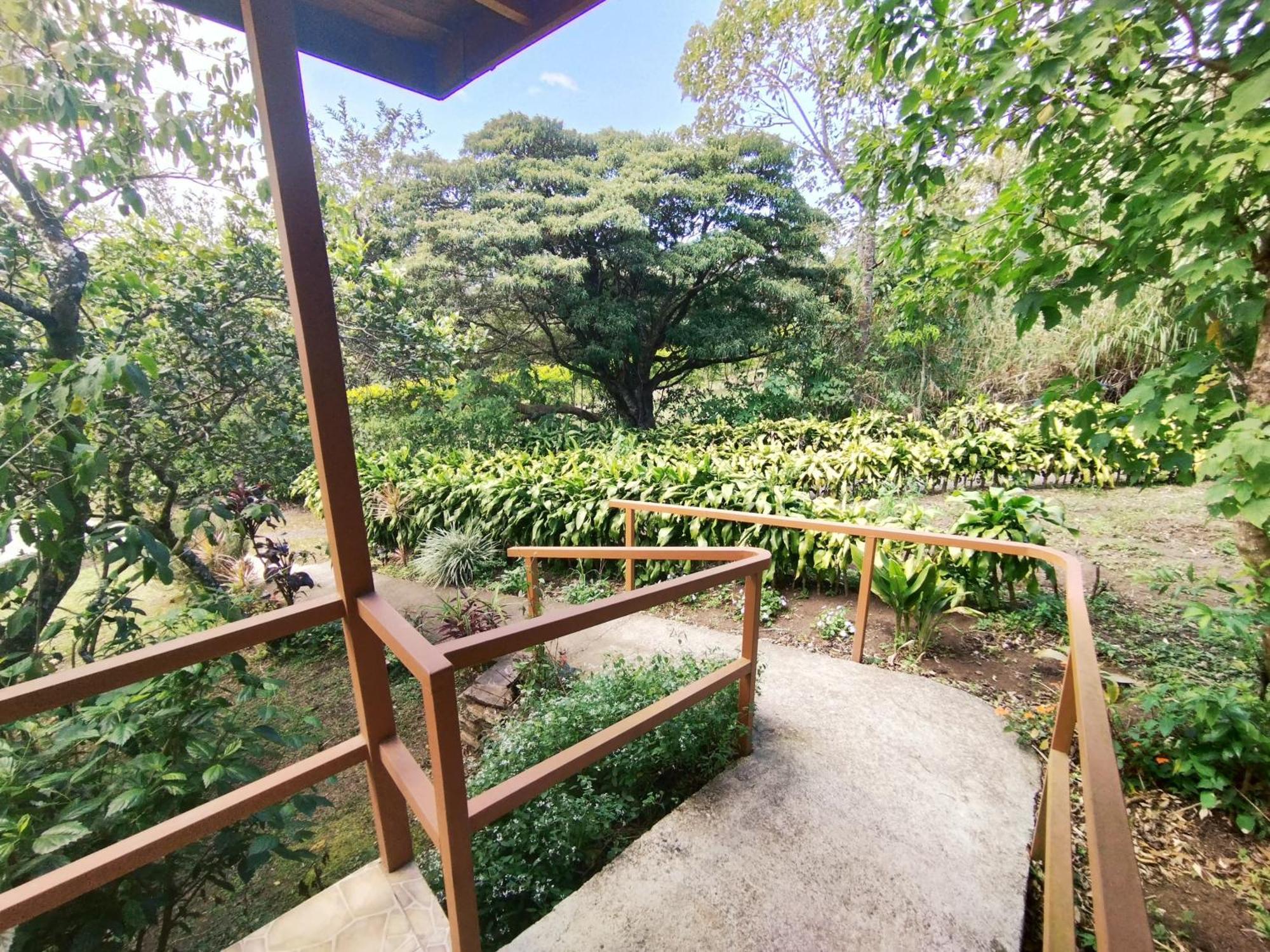 Las Marias Monteverde - Mountain View Cottages & Gardens المظهر الخارجي الصورة